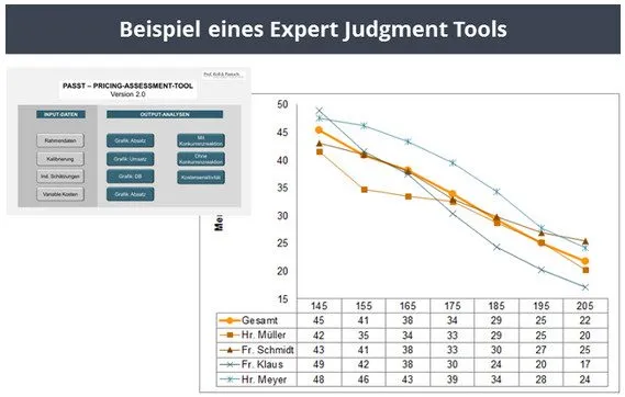 Beispiel eines Expert Judgement Tools