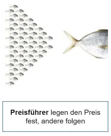 Preisführer legen den Preis fest, andere folgen (Preisfolger). Roll & Pastuch berät Sie gerne!