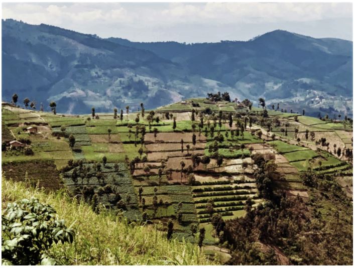 Roll und Pastuch hilft Burundi