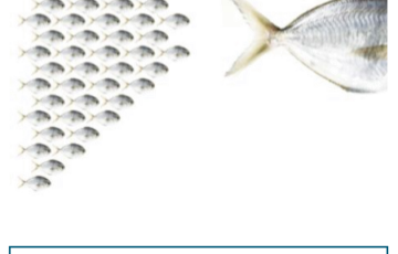 Roll und Pastuch Pricing Lexikon Preisfuehrer