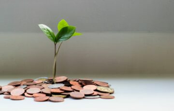 Pricing-Strategie mit Hilfe von Roll & Pastuch - Wachstum Strategie Erfolg