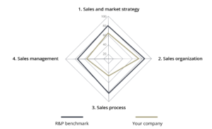 Sales and marketing strategy developed through different perspectives