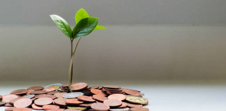 Pricing strategy with the help of Roll & Pastuch - growth strategy success.