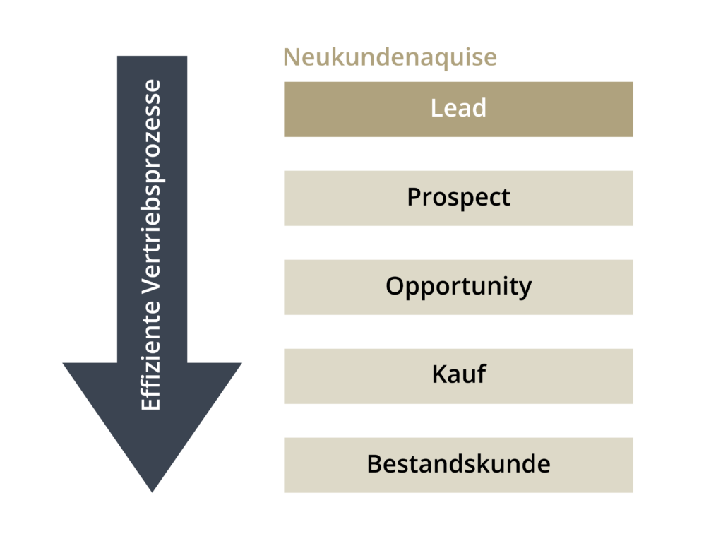 2 Studien zeigen Potenziale von Neu- und Kleinkunden – wie Sie diese jetzt nutzen