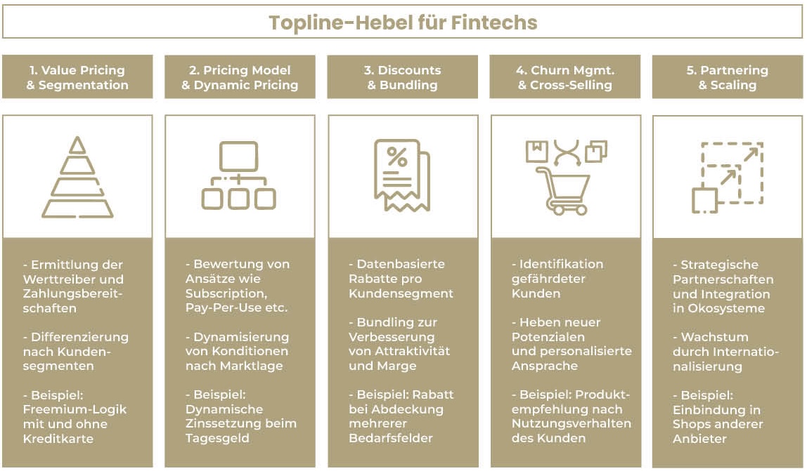 Topline-Hebel für Fintechs
