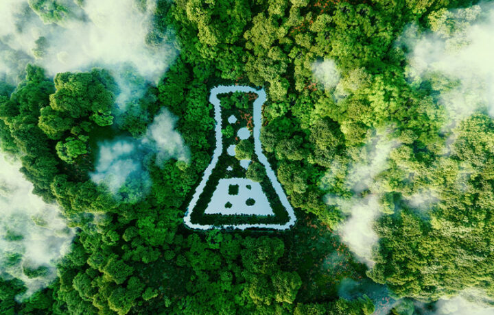 Darstellung von Green Pricing in Form eines Chemie-Symbols vor einer Baumkrone