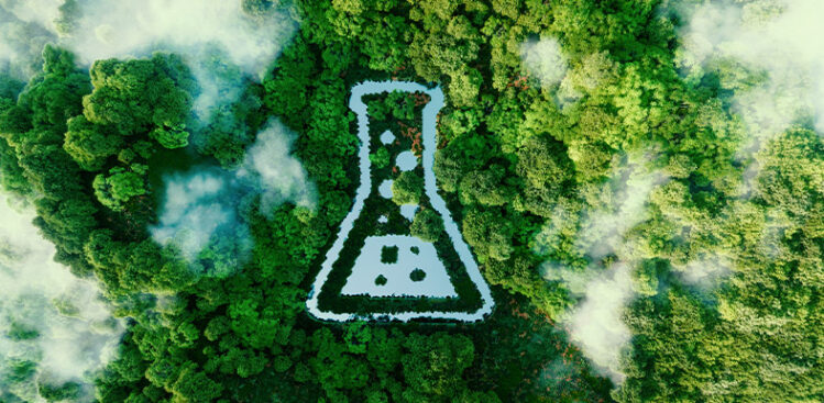 Darstellung von Green Pricing in Form eines Chemie-Symbols vor einer Baumkrone